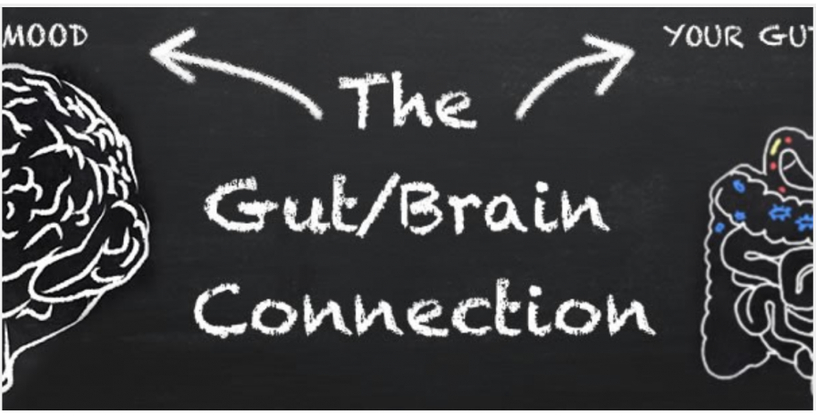 Do you know your Anxiety & Mood disorder is related to your gut health!